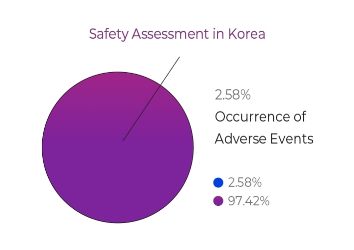 Safety Assessment in Korea-01